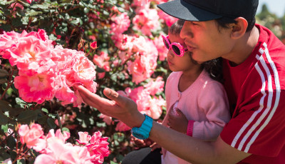 State Rose & Garden Show 2018