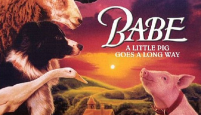 Babe: Outdoor Cinema