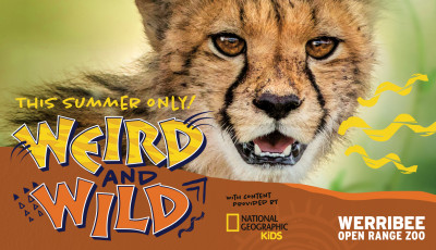 Weird and Wild at Werribee Open Range Zoo