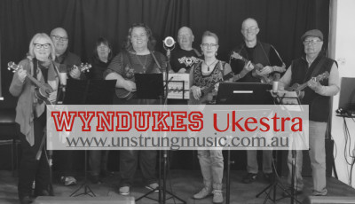Wyndukes Ukestra - Contemporary Ukulele Group