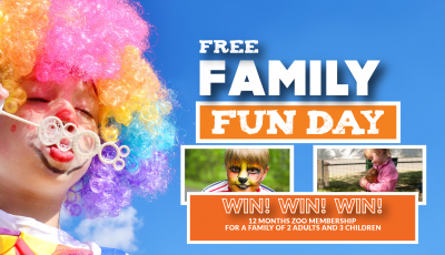 Free Family Fun Day