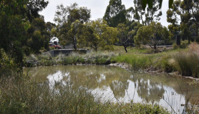 World Wetlands Day