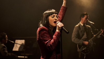 Lady Beatle