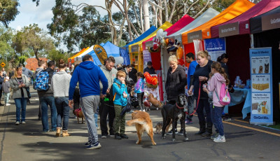 pet and animal expo
