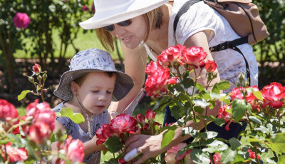 State Rose & Garden Show 2018