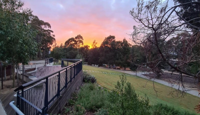 The Man Walk - Werribee