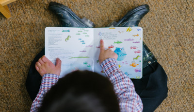 Toddler reading a book pointing at text