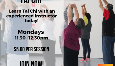 Tai Chi 24 for Seniors