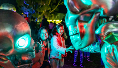Firefly Night Market 