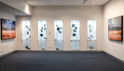 Credit: WEATHER/whether exhibition installation image, Wyndham Art Gallery, 2023. Image Artificial Studios.