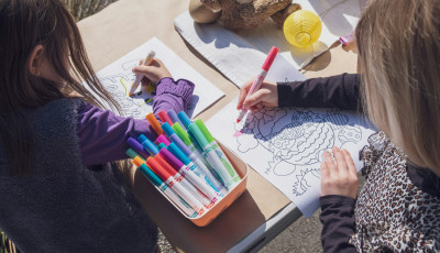 Overhead shot of two children colouring.