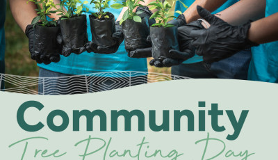 Community Tree Planting Day