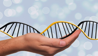 DNA and Family History for Beginners 