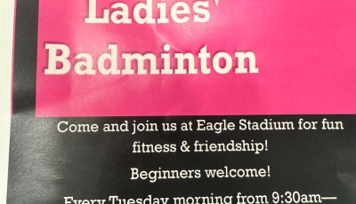 Ladies Badminton