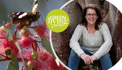 Growing Native Gardens with AB Bishop