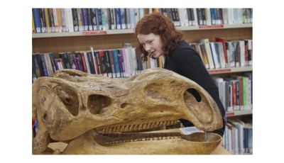 Dinosaur Discovery with Museums Victoria  - Manor Lakes