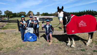 Leader Equine HRCAV TTT Dressage Championships