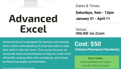 Advanced Excel course - Online
