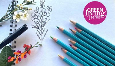 Illustration of native plant and coloured pencils