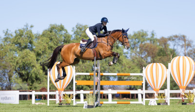 Dressage and Jumping with the Stars