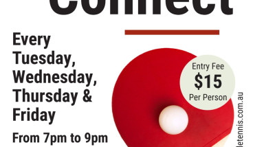 a red table tennis bat and white ball