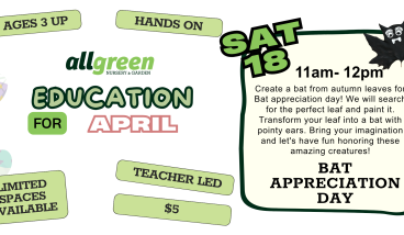 Bat Appreciation Day