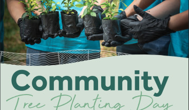 Community Planting Day