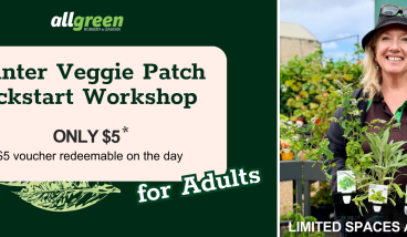 Winter Veggie Patch Kickstart workshop
