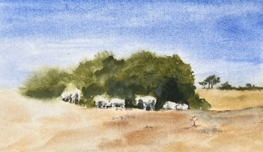 Tapestry of Culture – Mindfulness Watercolour Workshop