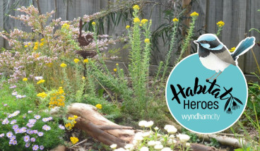Habitat Gardens - Community Gardening Winter Series