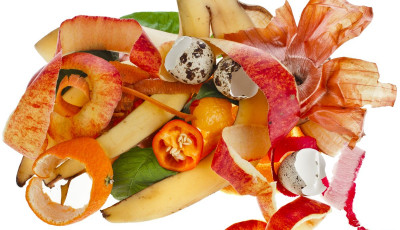 Food Scraps (no meat)