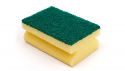 Sponges