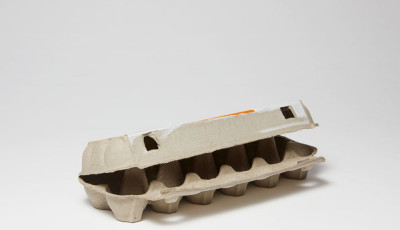 Egg Carton