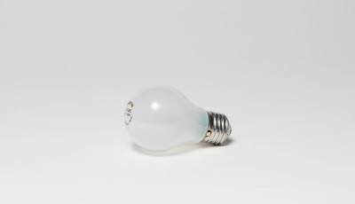 Light Bulb/Globe
